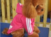 Roupa Adidas